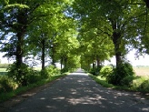 Allee 1 800.JPG